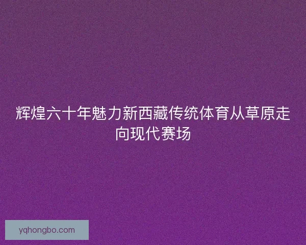 辉煌六十年魅力新西藏传统体育从草原走向现代赛场